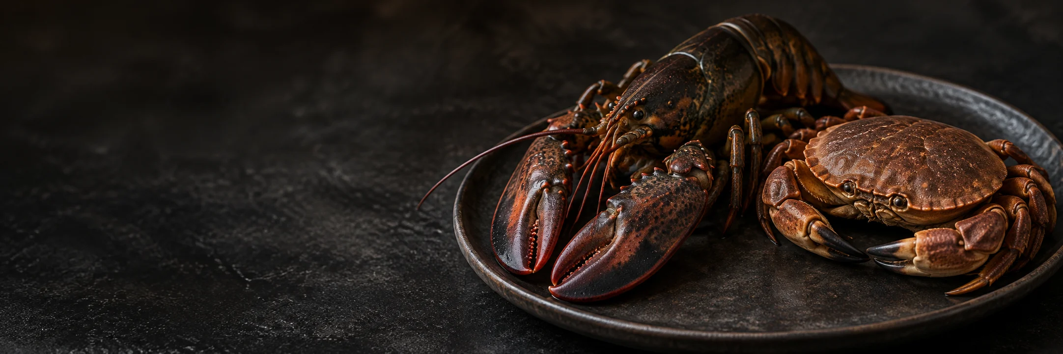 A whole muted-brown lobster and an intact brown crab on a dark specimen tray illustrating Baki 2018 seafood elemental study research context.